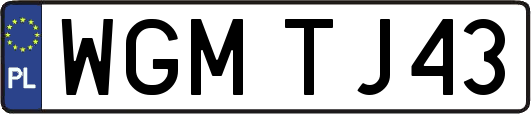 WGMTJ43