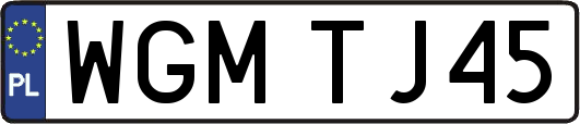 WGMTJ45