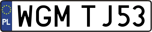 WGMTJ53