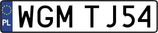 WGMTJ54