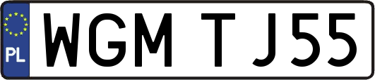 WGMTJ55