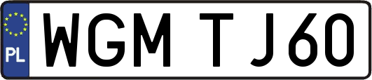 WGMTJ60