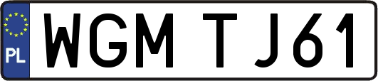 WGMTJ61