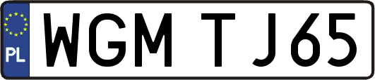 WGMTJ65