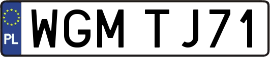 WGMTJ71