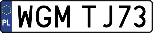 WGMTJ73
