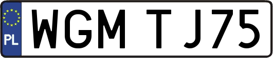 WGMTJ75