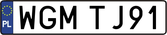 WGMTJ91
