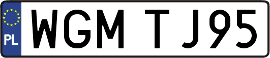WGMTJ95