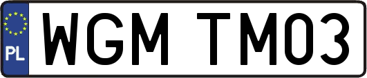 WGMTM03