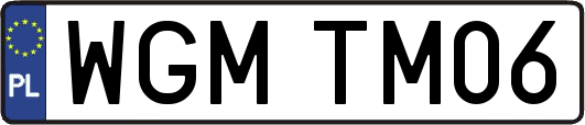 WGMTM06