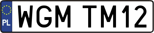 WGMTM12