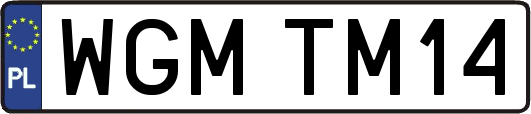 WGMTM14