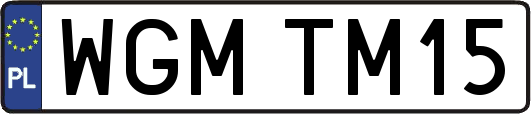 WGMTM15