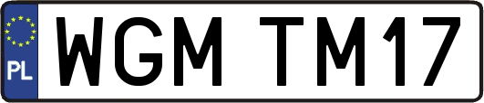 WGMTM17