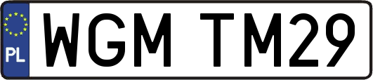 WGMTM29