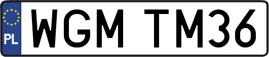 WGMTM36