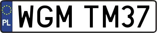WGMTM37