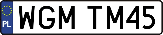 WGMTM45