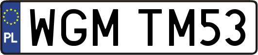 WGMTM53