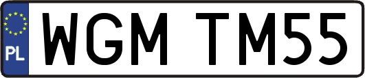 WGMTM55