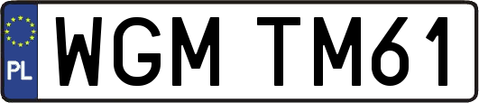 WGMTM61