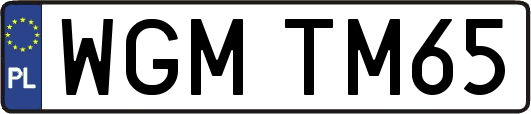 WGMTM65