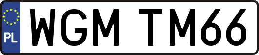 WGMTM66