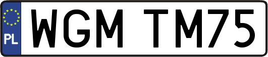 WGMTM75