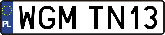 WGMTN13