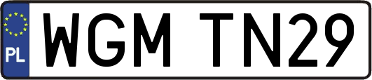 WGMTN29