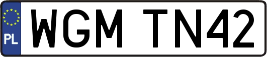WGMTN42