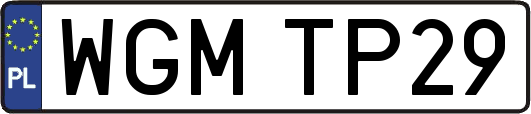 WGMTP29