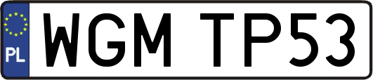 WGMTP53