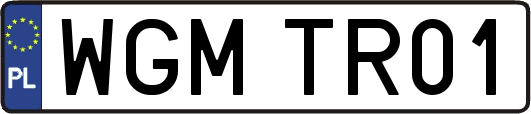 WGMTR01