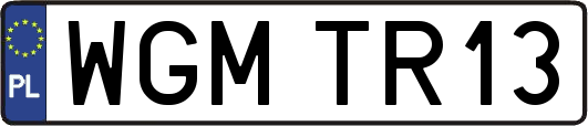 WGMTR13