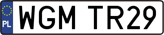 WGMTR29