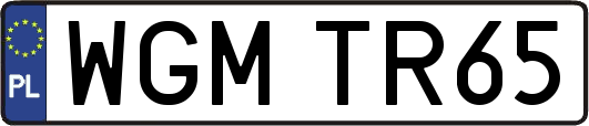 WGMTR65