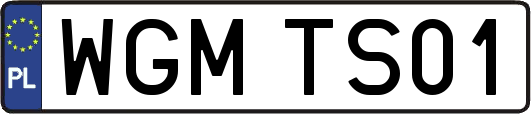 WGMTS01