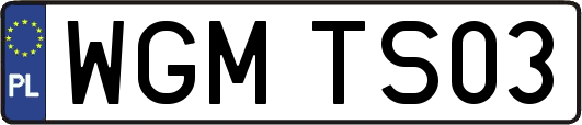 WGMTS03