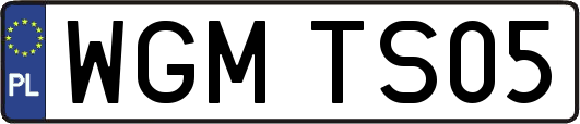 WGMTS05