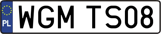 WGMTS08