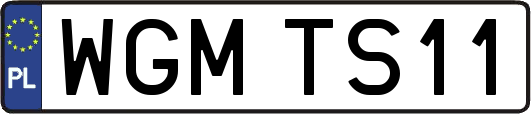 WGMTS11