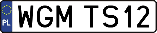 WGMTS12