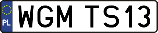 WGMTS13