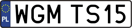 WGMTS15