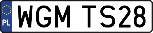 WGMTS28
