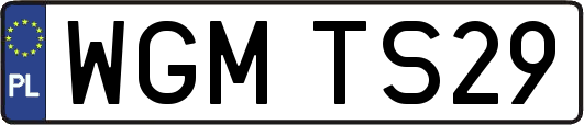 WGMTS29