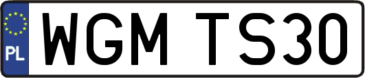 WGMTS30