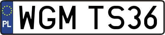 WGMTS36